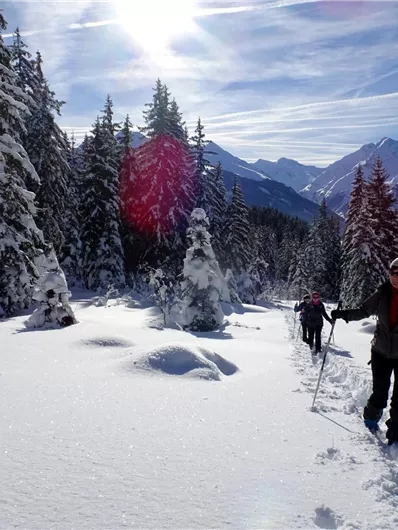 Eine Gruppe von Menschen wandert durch eine verschneite Waldlandschaft. Hohe Bäume und schneebedeckte Berge sind im Hintergrund zu sehen.
