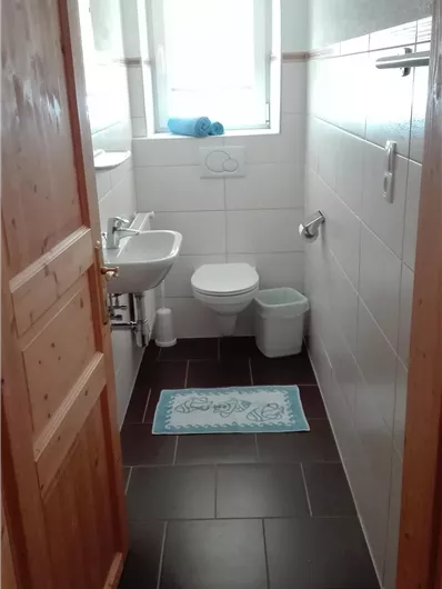 Een kleine badkamer met een witte toilet en een wastafel. Veel licht valt door het raam en een blauwe tapijt ligt op de vloer.
