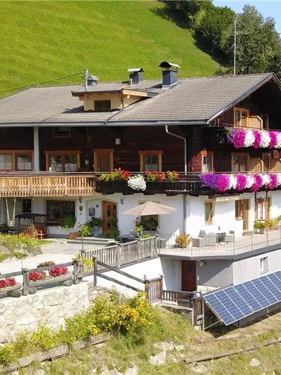 Ein charmantes Holzhaus mit großen Balkonen, geschmückt mit bunten Blumen. Im Vordergrund sind ein Garten und Solarpanels zu sehen, umgeben von grünen Hügeln.