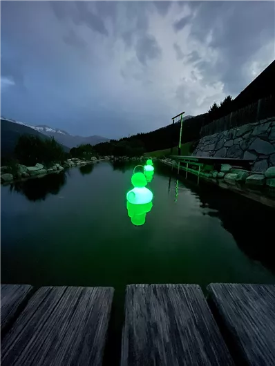 BergBaur Natural Pool 2