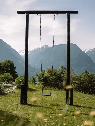 Mountain Builder Swing