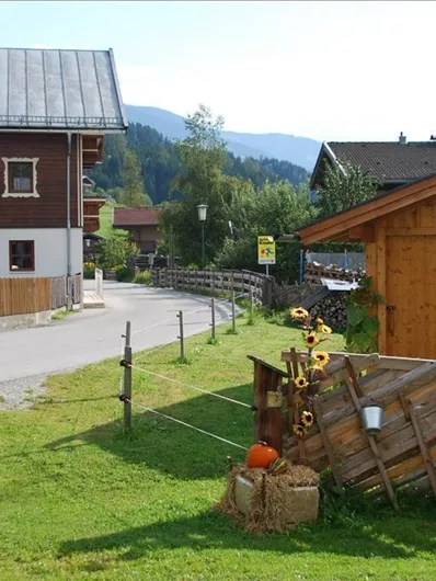 Eine ländliche Szene mit einem Holzhaus und einem angrenzenden Schuppen. Im Vordergrund sind einige Sonnenblumen und ein Kürbis zu sehen.