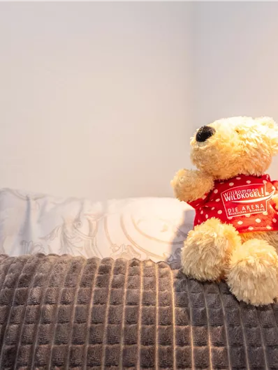 Een knuffelige teddybeer zit op een grijs kussen. Op de achtergrond zijn twee andere kussens zichtbaar.