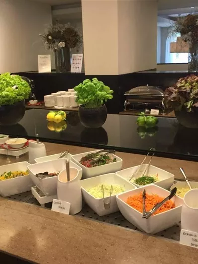 A salad buffet with fresh vegetables and various dressings. Several bowls and decorative plants are arranged on the counter.