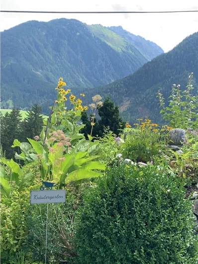 Eine Blumenlandschaft mit Bergen im Hintergrund. Im Vordergrund ist eine grüne Hecke und ein Blumentopf zu sehen.