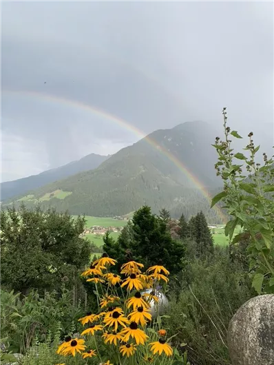 Ein bunter Regenbogen über einem Berg. Im Vordergrund blühen gelbe Blumen.