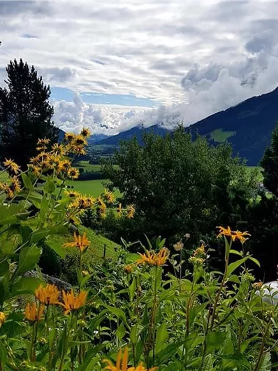 Eine malerische Landschaft mit bunten Blumen im Vordergrund und Bergen im Hintergrund. Über dem Szenario ziehen Wolken über den Himmel.