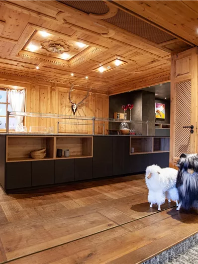 Een moderne keuken met houten bekleding en elegante inrichtingselementen. Twee honden staan op de voorgrond en kijken geïnteresseerd in de camera.