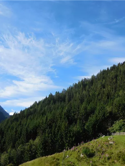 Eine malerische Berghütte umgeben von dichten Wäldern und hohen Bergen. Der Himmel ist blau mit einigen Wolken.