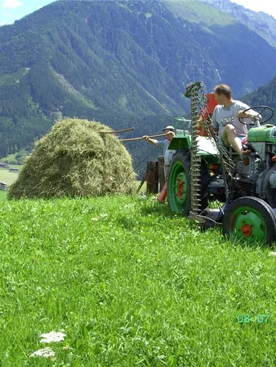 Ein Traktor steht auf einer grünen Wiese in den Bergen. Im Hintergrund ist eine Heuhaufen und eine malerische Landschaft zu sehen.