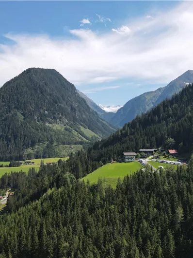 Eine herrliche Berglandschaft mit grünen Wiesen und dichten Wäldern. Die majestätischen Berge erstrecken sich unter einem klaren Himmel.