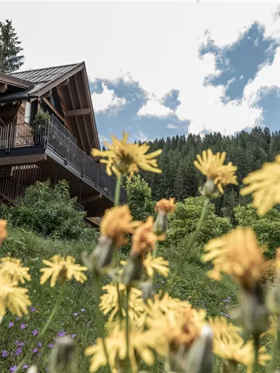 Een gezellig houten huis staat te midden van een bloeiende weide met gele bloemen. De lucht is deels bewolkt en de omgeving is omringd door bomen.
