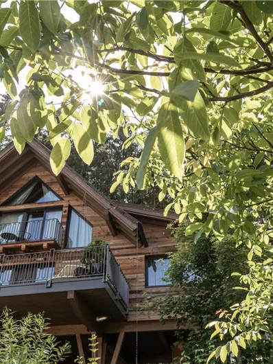 Een gezellig houten huis tussen de bomen. De zon schijnt door het loof en zorgt voor een vriendelijke sfeer.