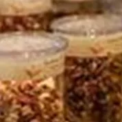 Een selectie van thee kruiden in transparante containers op een houten rek. Op de achtergrond zijn andere theepotten en utensilien te zien.