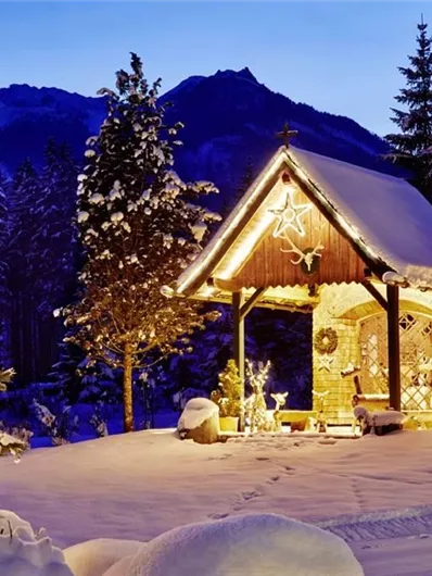 An idyllic snowy landscape at night with a festively illuminated wooden house. In the foreground stands a decorated Christmas tree and snow-covered trees surround the scene.