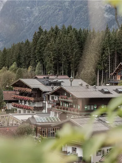 Ein malerisches Dorf mit traditionellen Gebäuden und umgebenden Bäumen. Im Hintergrund erheben sich majestätische Berge unter einem bewölkten Himmel.