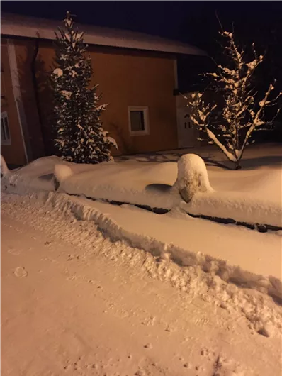 A snowy landscape with thick snow on the ground. In the background, snow-covered trees and a building can be seen.