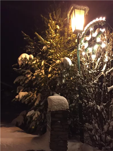 A winter scene with a snow-covered tree and a lantern. The night is clear, and the lights shine warmly.