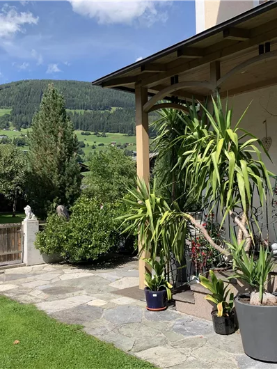 A beautiful garden with well-maintained plants and a view of the mountains in the background. The weather is sunny with a few clouds in the sky.