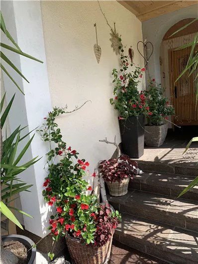 A beautiful entrance area with colorful flowers in baskets. The plants give the space an inviting atmosphere.
