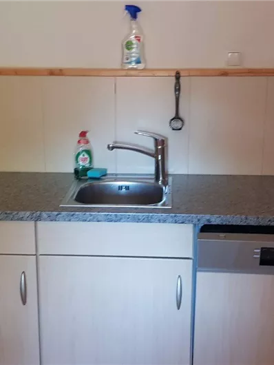 Eine kleine Küchenzeile mit einem Waschbecken und einem Geschirrspüler. Die Wände sind hell, und es gibt Reinigungsmittel auf der Arbeitsplatte.