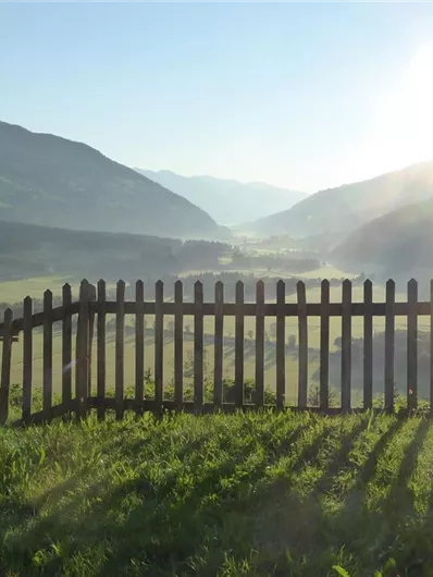 Eine malerische Landschaft mit Bergen im Hintergrund und einer Sicht auf ein grünes Tal. Ein Zaun wirft Schatten auf das Gras im Vordergrund.
