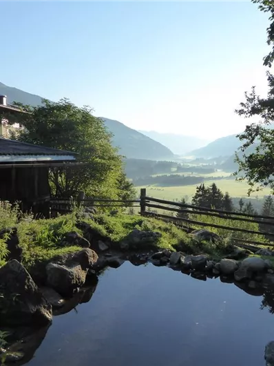 Ein ruhiger Ausblick auf eine malerische Landschaft mit sanften Hügeln und Bäumen. Im Vordergrund ist ein kleiner Teich zu sehen, umgeben von üppigem Grün.