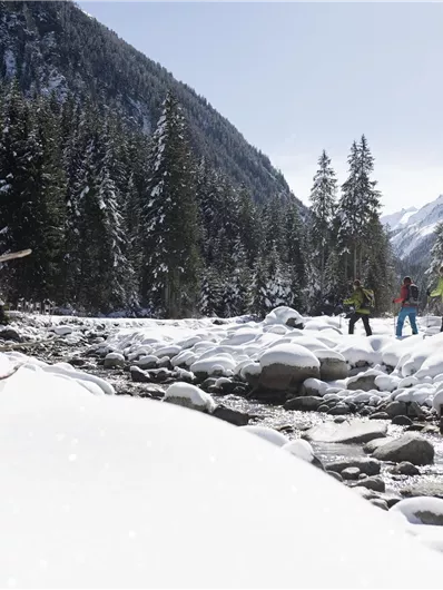 A snowy landscape with a river and large stones. A group of hikers is exploring the surroundings among the trees.