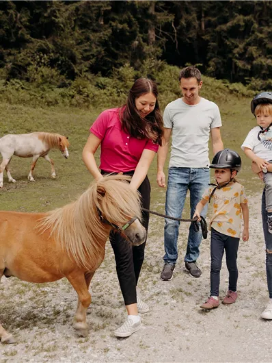 Eine Familie steht auf einer Wiese und interagiert mit einem kleinen Pferd. Im Hintergrund sind weitere Pferde und Bäume zu sehen.