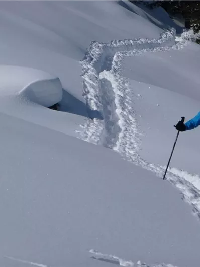 Schneeschuhwandern mit geprüften Guides.