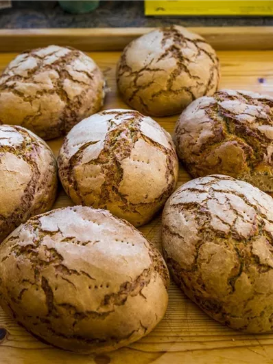 Een groep van zeven ronde, versgebakken broden ligt op een houten plank. De broden hebben een gouden korst met een gestructureerd patroon.