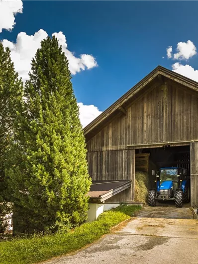 Een traditionele houten boerderij met een tractor die de schuur inrijdt. Omgeven door groene bomen en een prachtige lucht met wolken.