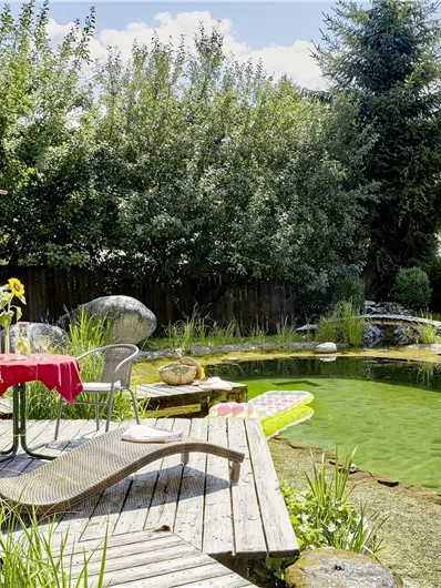 Een mooie tuin met een natuurlijke zwemvijver en een houten ligplaats. Een tafel met bloemen en een parasol nodigt uit om te ontspannen.