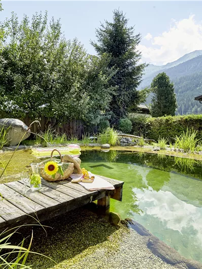 Een rustige natuurvijver met een houten dek en groene vegetatie. Op de achtergrond zijn bergen en een blauwe lucht te zien.