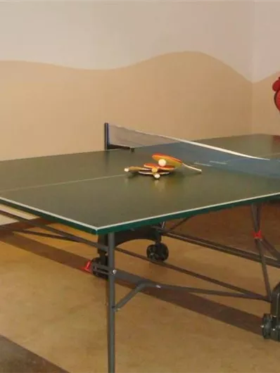 Een tafeltennisruimte met een tafeltennistafel en een batje. De muren zijn in lichte kleuren geschilderd en de vloer is van hout.