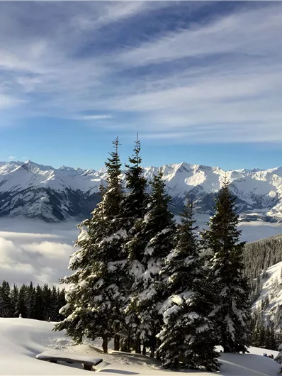 Een winterlandschap met besneeuwde bergen en valleien. Hoge dennenbomen zijn op de voorgrond zichtbaar.