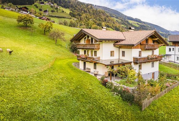 An idyllic farmhouse in a green meadow landscape. In the background, gentle hills and cows can be seen.