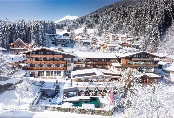 Een schilderachtig hotel in de Alpen, omgeven door met sneeuw bedekte bomen. De scène straalt rust en wintermagie uit.