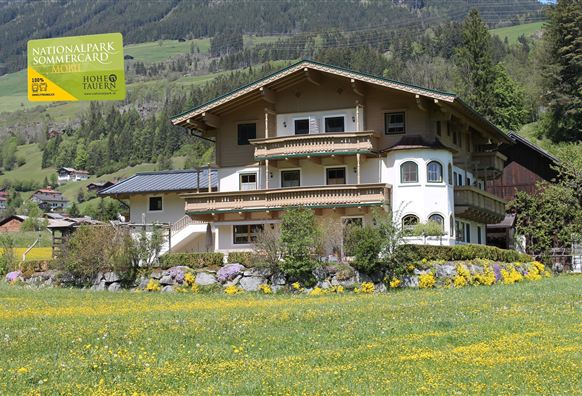 A typical Alpine house surrounded by meadows and mountains. The flowers bloom in vivid colors and the sky is clear and sunny.