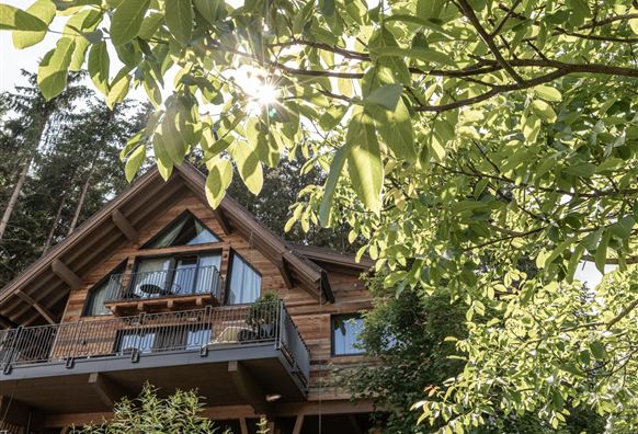 Ein gemütliches Holzhaus inmitten von Bäumen. Die Sonne scheint durch das Laub und sorgt für eine freundliche Atmosphäre.