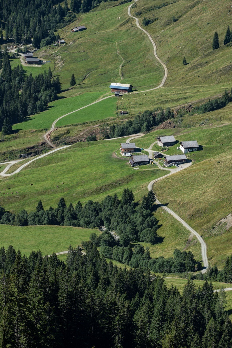 Bramberg: Plattwald - Stangenalm - Baumgartenalm Rundweg