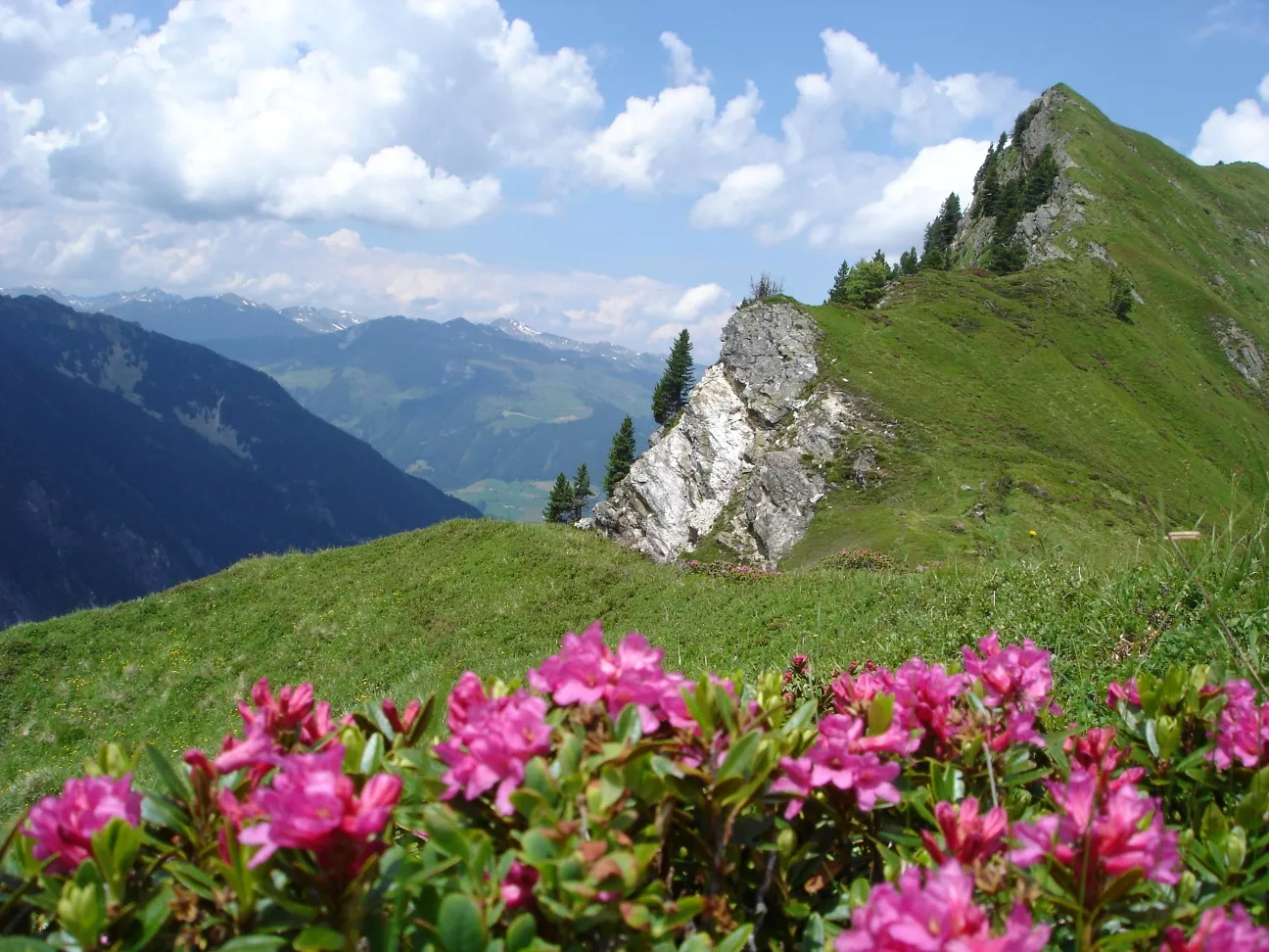Neukirchen: Bettlersteig