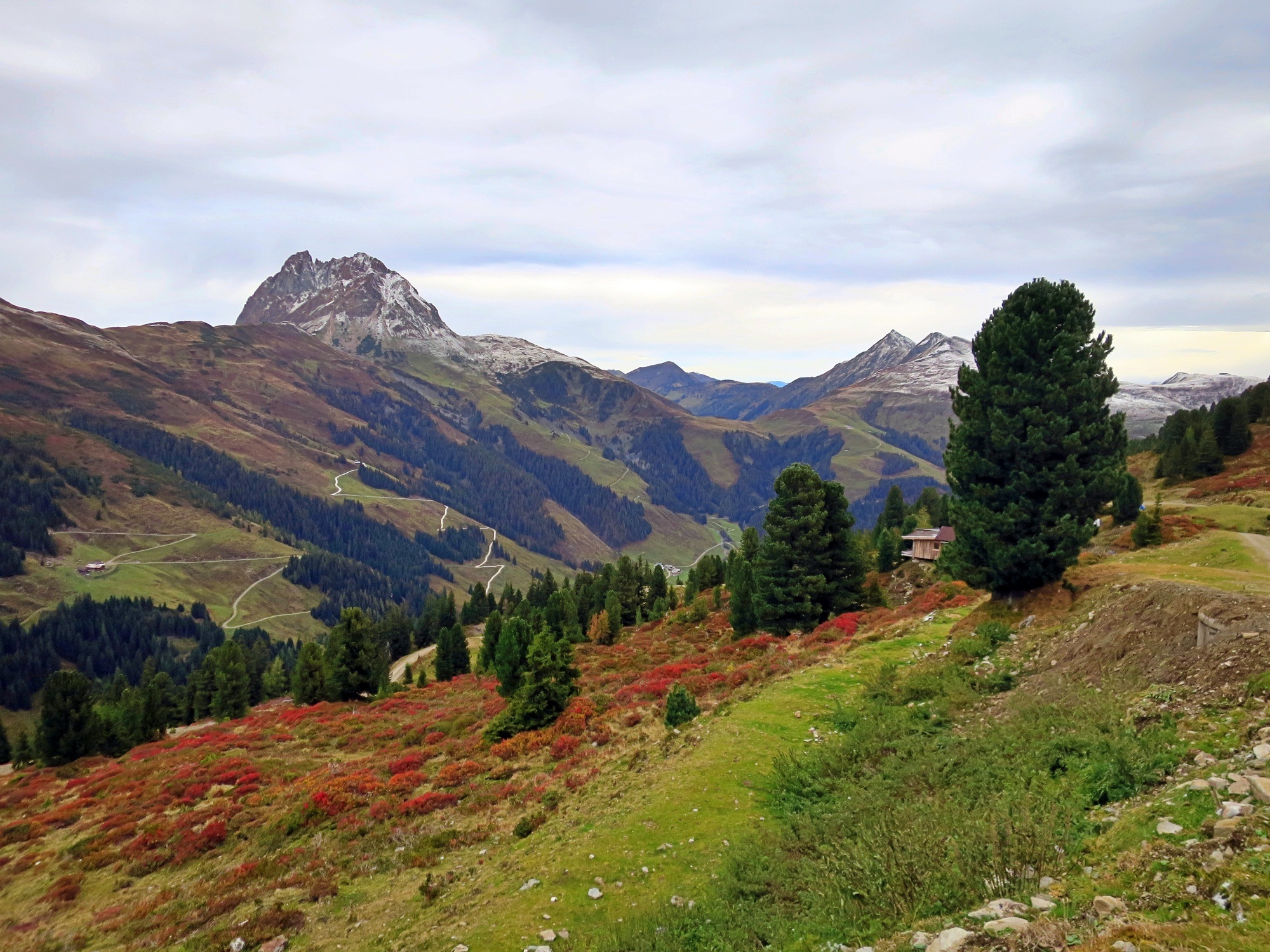 Bramberg: 4F Baumgartenalm - Geisl-Hochalm - Bergstation Wildkogelbahn