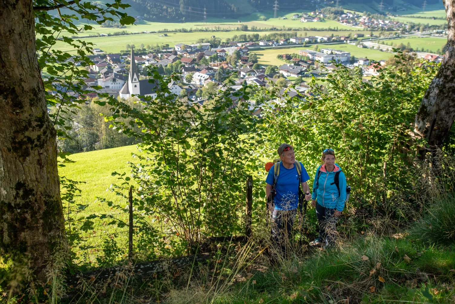 Bramberg: Höhenwanderweg Breitmoos