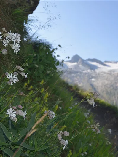 Anstieg Noitroisteig zur Thüringerhütte