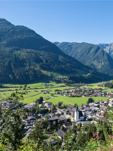 Aussicht auf Neukirchen