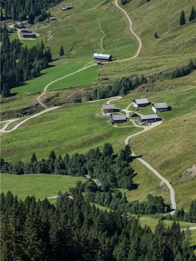 Baumgartenalm von oben