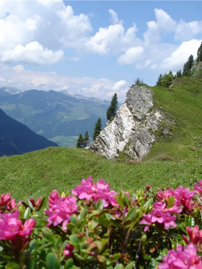 Bettlersteig