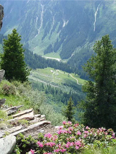 Bettlersteig