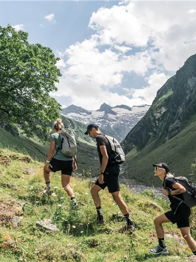 Bramberg: 4B Habachtal